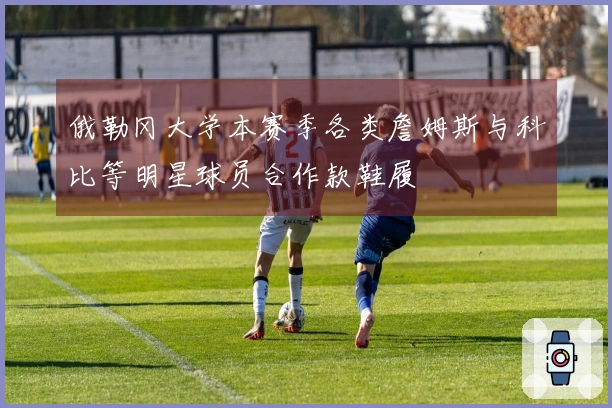 俄勒冈大学本赛季各类詹姆斯与科比等明星球员合作款鞋履